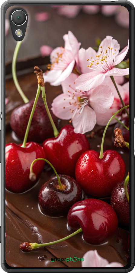 Силіконовий чехол Вишня у шоколаді для Sony Xperia Z3 D6603 - 6698u-58 изображение 