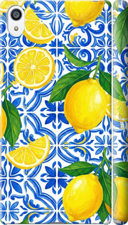 3D пластиковый глянцевый чехол Grocery Girl Italian Summer для Sony Xperia Z5 Premium E6883 - 6766c-345 изображение 