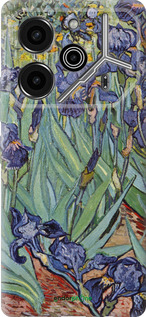 Силиконовый чехол Винсент Ван Гог. Ирисы для Tecno Pova 6 Pro - 161u-3689 изображение 