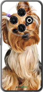 Силиконовый чехол Йоркширский терьер с хвостиком для Tecno Spark 30C - 930u-3821 изображение 
