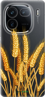Силиконовый чехол Колоски пшеници для Vivo IQOO 12 PRO - 5866u-3420 изображение 