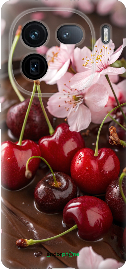 Силиконовый чехол Вишня в шоколаде для Vivo IQOO 12 PRO - 6698u-3420 изображение 