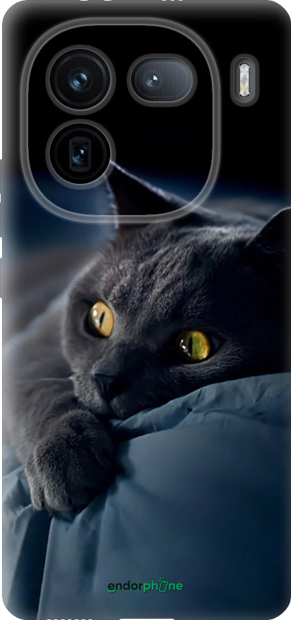 Силиконовый чехол Дымчатый кот для Vivo IQOO 12 PRO - 825u-3420 изображение 