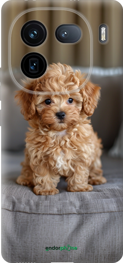 Силиконовый чехол Mini-maltipoo для Vivo iQOO 12 - 6158u-3433 изображение 