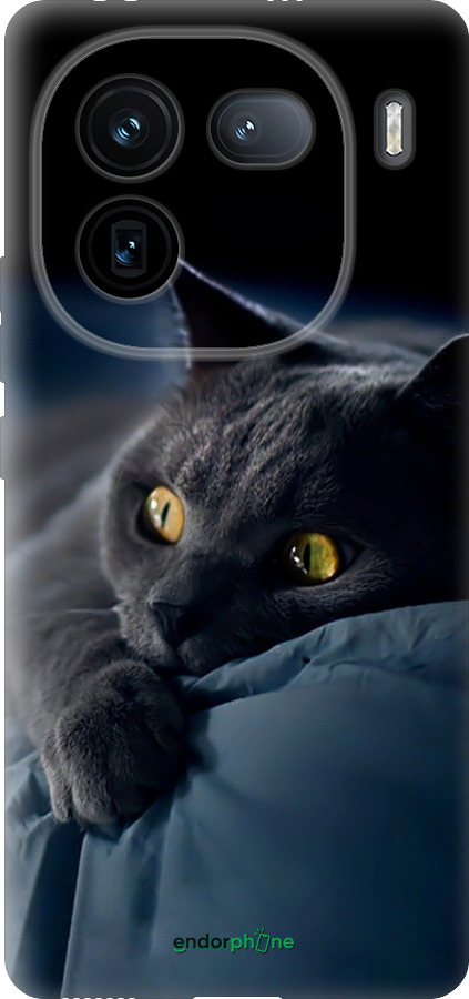 Силіконовий чехол Димчастий кіт для Vivo iQOO 12 - 825u-3433 изображение 