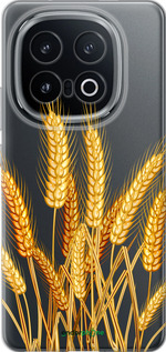 Силиконовый чехол Колоски пшеници для Vivo IQOO 13 - 5866u-3913 изображение 