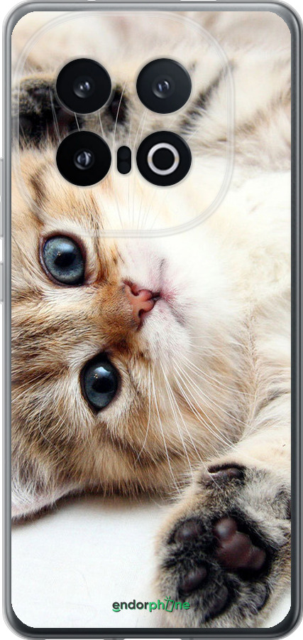 Силиконовый чехол Котик для Vivo IQOO 13 - 6024u-3913 изображение 