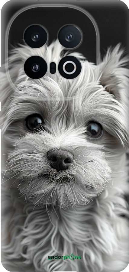 Силиконовый чехол Мальтипу на чорном фоне для Vivo IQOO 13 - 6156u-3913 изображение 