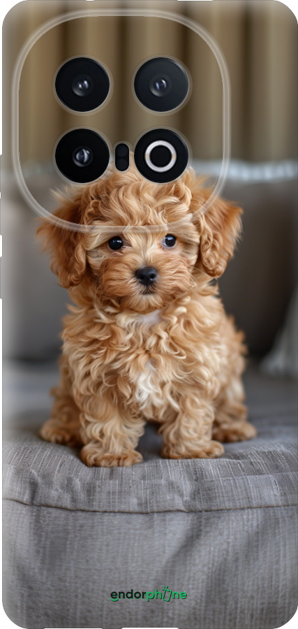 Силиконовый чехол Mini-maltipoo для Vivo IQOO 13 - 6158u-3913 изображение 