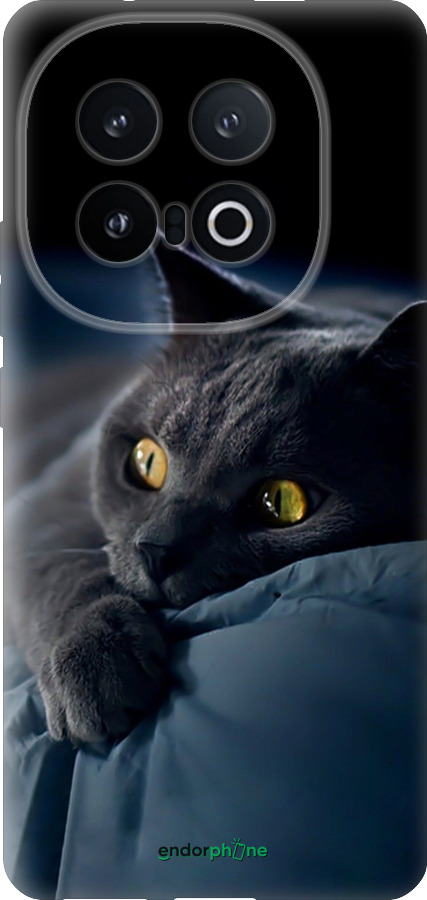 Силиконовый чехол Дымчатый кот для Vivo IQOO 13 - 825u-3913 изображение 