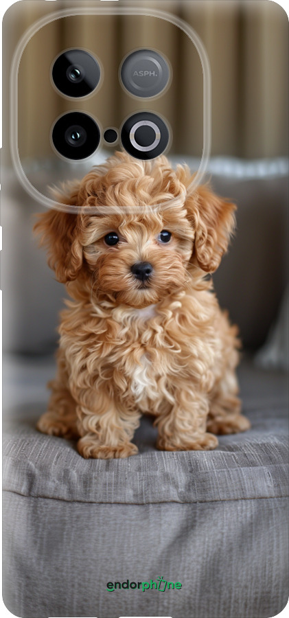 Силиконовый чехол Mini-maltipoo для Vivo Y300 GT 5G - 6158u-4151 изображение 