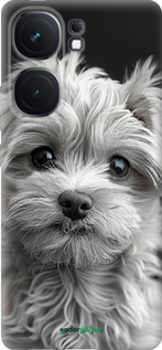 Силиконовый чехол Мальтипу на чорном фоне для Vivo iQOO Neo9 - 6156u-3631 изображение 