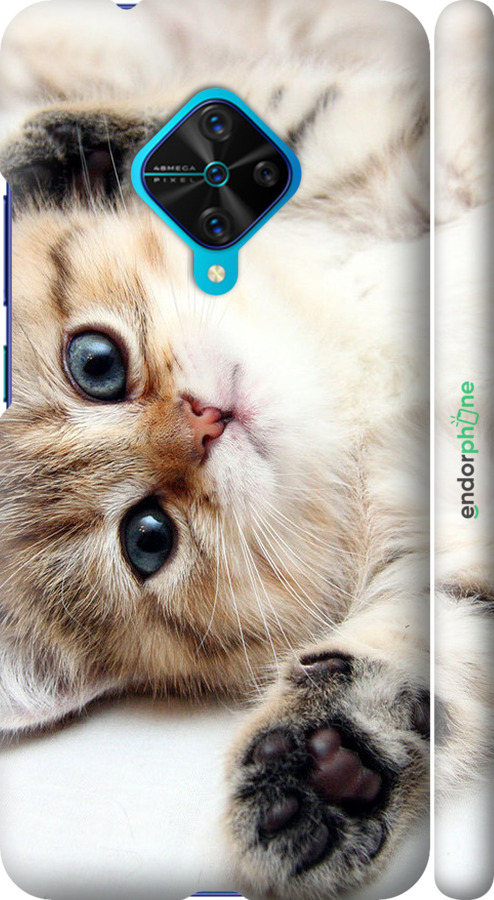3D пластиковый матовый чехол Котик для Vivo V17 - 6024m-1819 изображение 