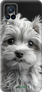 Силиконовый чехол Мальтипу на чорном фоне для Vivo V21 - 6156u-2368 изображение 