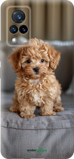 Силиконовый чехол Mini-maltipoo для Vivo V21 - 6158u-2368 изображение 