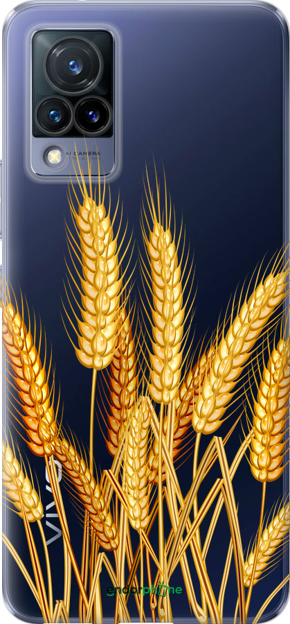 Силиконовый чехол Колоски пшеници для Vivo V21 - 5866u-2368 изображение 