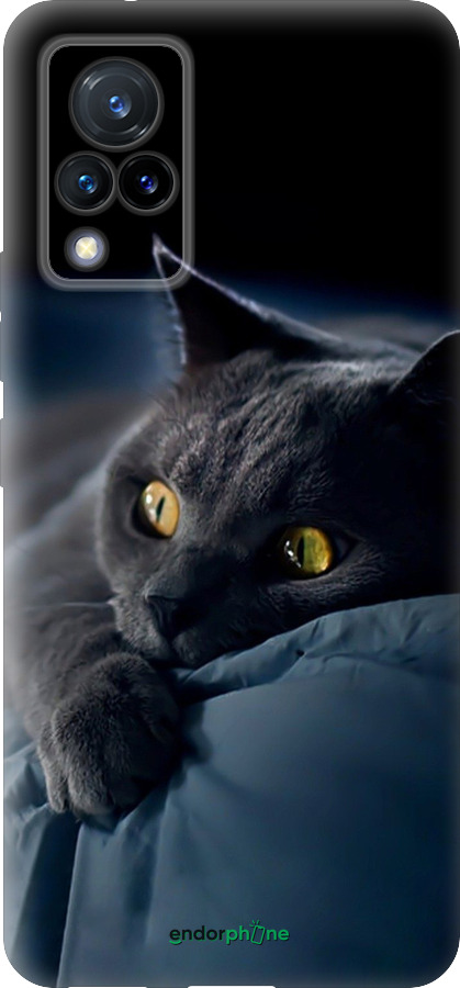 Силіконовий чехол Димчастий кіт для Vivo V21 - 825u-2368 изображение 