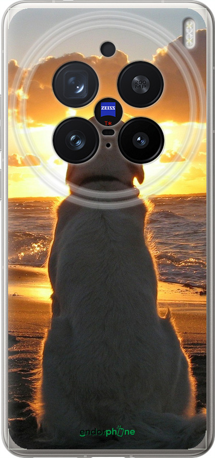 Силиконовый чехол Закат и собака для Vivo X200 PRO - 3966u-3883 изображение 