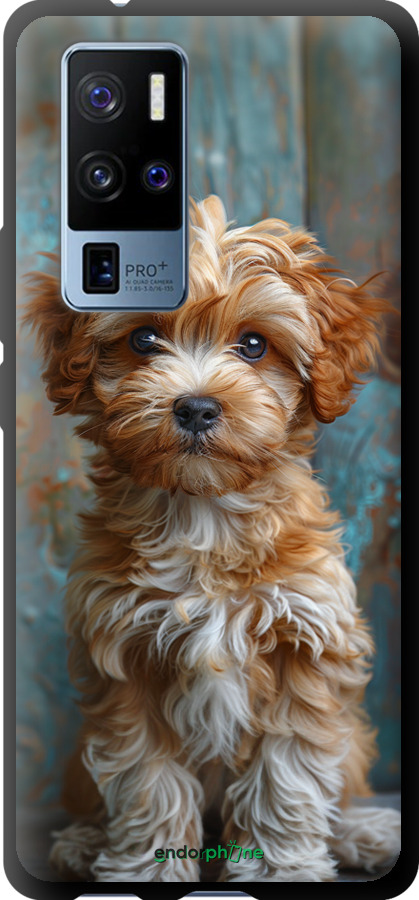 TPU чехол Цуценя мальтипу для Vivo X50 Pro Plus - 6157b-2056 изображение 