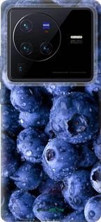 Силиконовый чехол Голубика для Vivo X80 Pro - 4459u-2630 изображение 