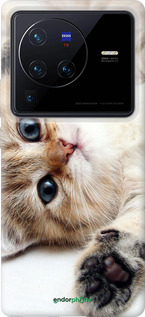 Силиконовый чехол Котик для Vivo X80 Pro - 6024u-2630 изображение 