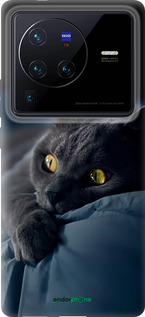 Силиконовый чехол 'Дымчатый кот' для Vivo X80 Pro изображение 2