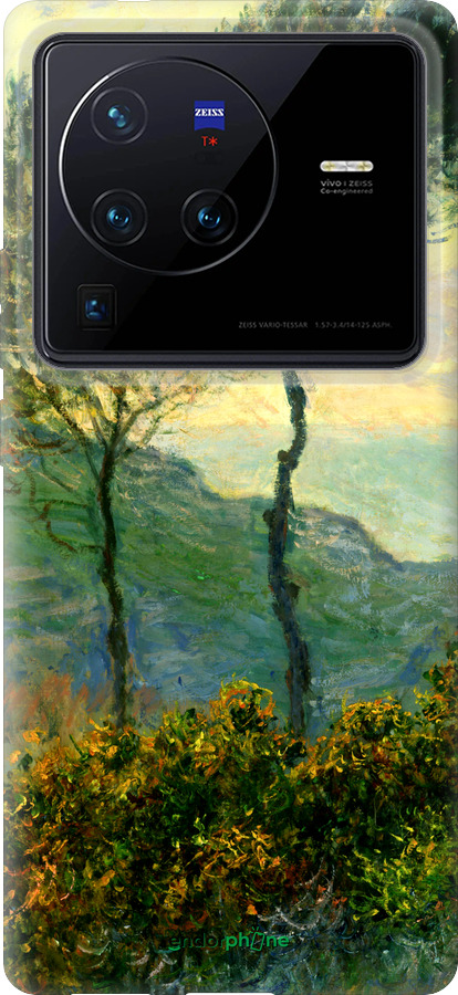Силиконовый чехол Клод Моне для Vivo X80 Pro - 1193u-2630 изображение 