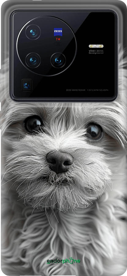 Силиконовый чехол Мальтипу на чорном фоне для Vivo X80 Pro - 6156u-2630 изображение 