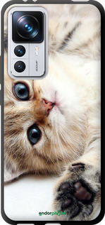 TPU чехол Котик для Xiaomi 12T Pro - 6024b-2869 изображение 