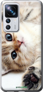 Силиконовый чехол Котик для Xiaomi 12T - 6024u-3332 изображение 