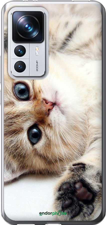 Силиконовый чехол Котик для Xiaomi 12T - 6024u-3332 изображение 