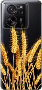 Силиконовый чехол Колоски пшеници для Xiaomi 13T PRO - 5866u-3810 изображение 