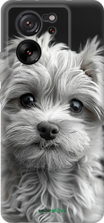 Силиконовый чехол Мальтипу на чорном фоне для Xiaomi 13T PRO - 6156u-3810 изображение 