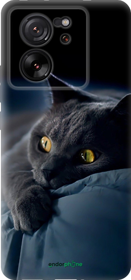 Силиконовый чехол Дымчатый кот для Xiaomi 13T PRO - 825u-3810 изображение 