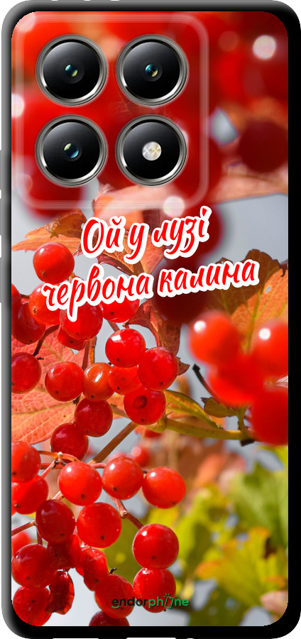 TPU чехол Калина для Xiaomi 14T 5G - 5454b-3773 изображение 