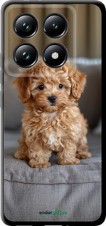 TPU чехол Mini-maltipoo для Xiaomi 14T Pro - 6158b-3806 изображение 