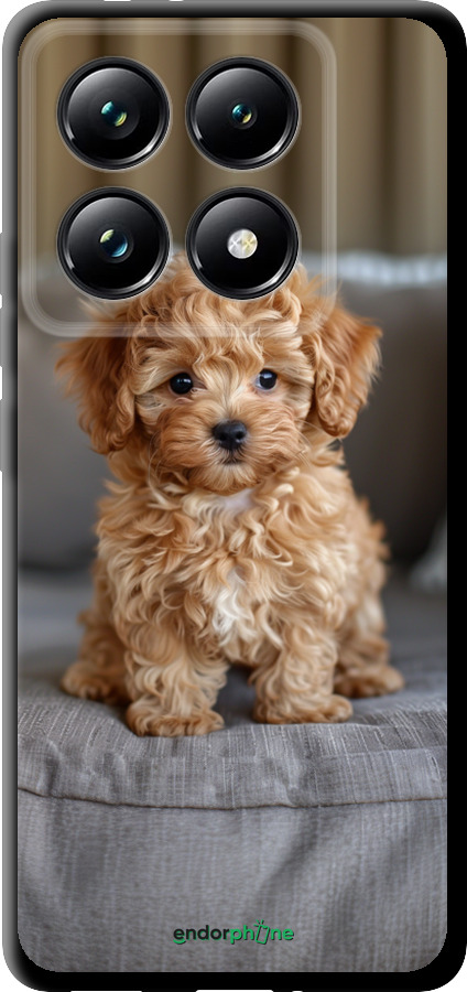 TPU чехол Mini-maltipoo для Xiaomi 14T Pro - 6158b-3806 изображение 