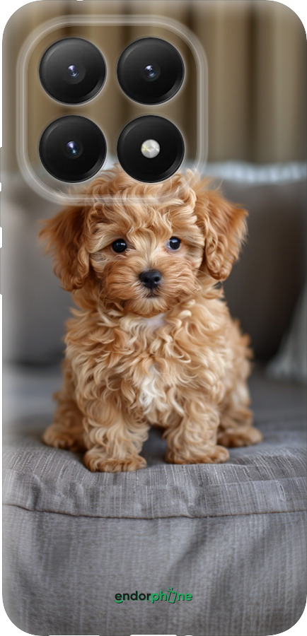 Силиконовый чехол Mini-maltipoo для Xiaomi 15T 5G - 6158u-4100 изображение 