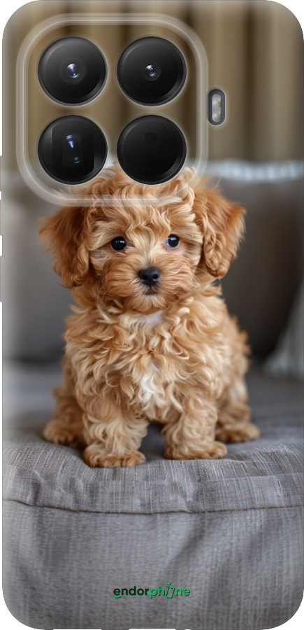 Силіконовий чехол Mini-maltipoo для Xiaomi 15T Pro 5G - 6158u-4097 изображение 