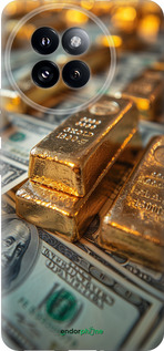 Силіконовий чехол Злитки та долари для Xiaomi Civi 4 Pro - 6105u-3682 изображение 