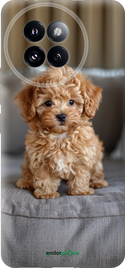 Силиконовый чехол Mini-maltipoo для Xiaomi Civi 4 Pro - 6158u-3682 изображение 