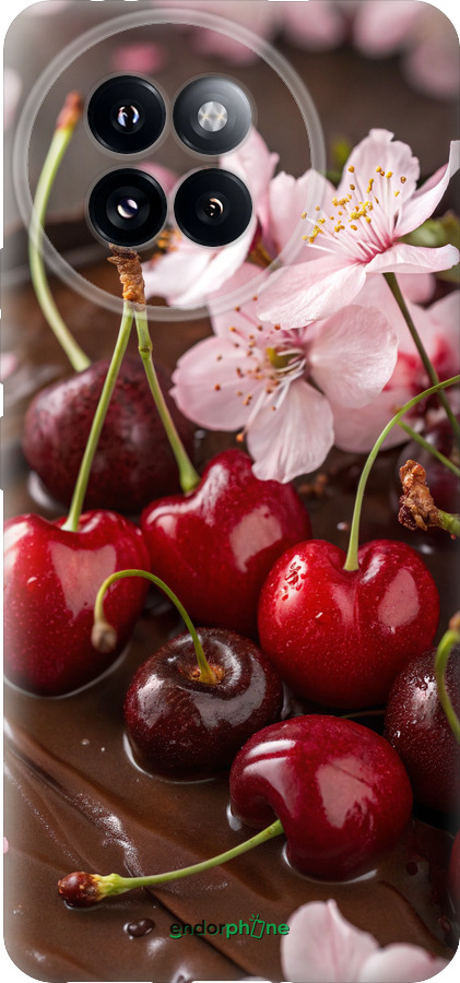 Силиконовый чехол Вишня в шоколаде для Xiaomi Civi 4 Pro - 6698u-3682 изображение 