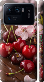 3D пластиковий матовий чехол Вишня у шоколаді для Xiaomi Mi 11 Ultra - 6698m-2295 изображение 