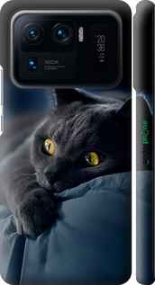 3D пластиковий матовий чехол Димчастий кіт для Xiaomi Mi 11 Ultra - 825m-2295 изображение 