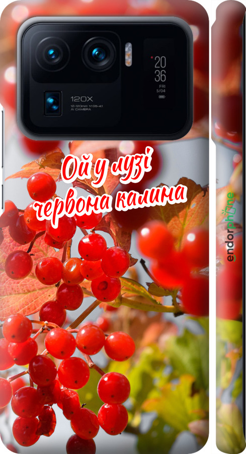 3D пластиковий матовий чехол Калина для Xiaomi Mi 11 Ultra - 5454m-2295 изображение 