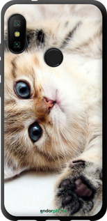 TPU чехол Котик для Xiaomi Redmi 6 Pro - 6024b-1595 изображение 