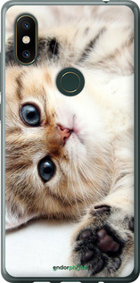Силіконовий чехол Котик для Xiaomi Mi Mix 2s - 6024u-1438 изображение 