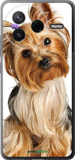 Силиконовый чехол Йоркширский терьер с хвостиком для Xiaomi Redmi K80 - 930u-4148 изображение 