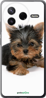 Силиконовый чехол Щенок йоркширского терьера для Xiaomi POCO F7 Pro - 931u-4085 изображение 