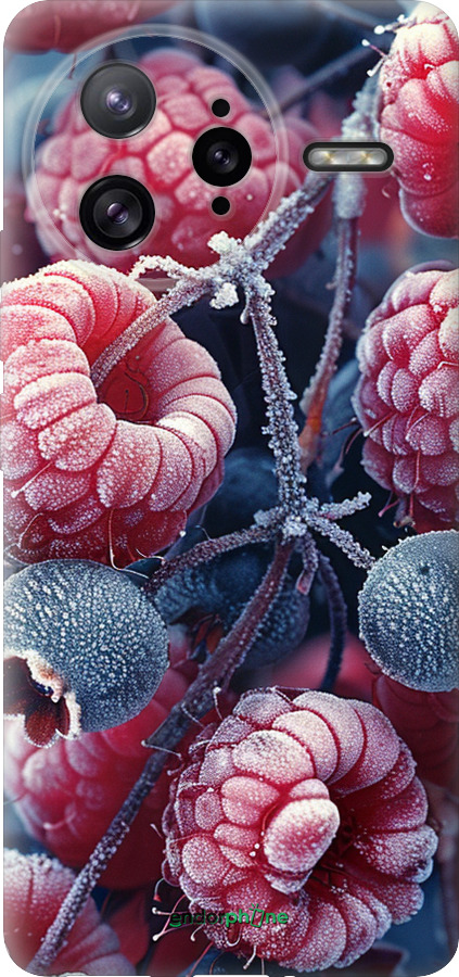 Силиконовый чехол Морозные ягоды для Xiaomi Redmi K80 Pro - 6033u-4145 изображение 